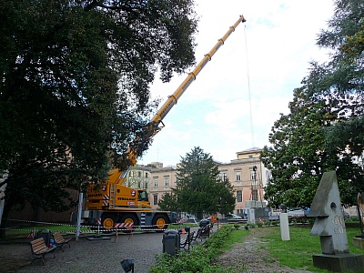 fotogallery 
	Autogru Girevoli
 AUTOGRU GIREVOLE LIEBHERR LTC 1055, immagine t_ 55 2.JPG